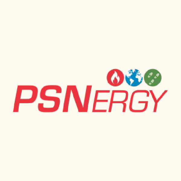 PSNErgy@2x-100